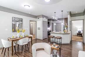 Pearland apartment for rent - Modern Kitchen at Avenues at Shadow Creek Ranch Apartments, Pearland