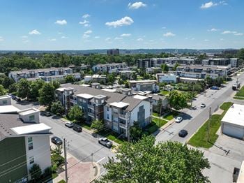 A sunny day in a residential area with cars parked on the side of the road.