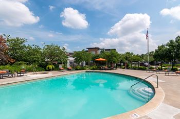 A swimming pool