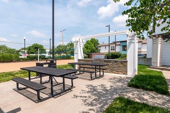 Outdoor picnic and bbq