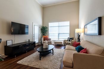 Living area with tv
