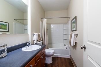 Spa inspired bathroom