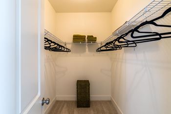 Large closet view