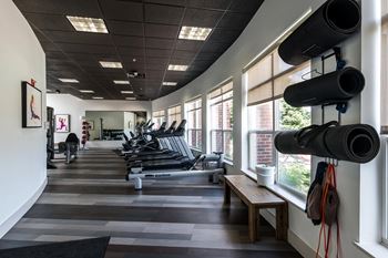 A gym with treadmills, exercise bikes, and weights.