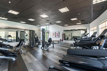 A gym with treadmills, weights, and exercise equipment.
