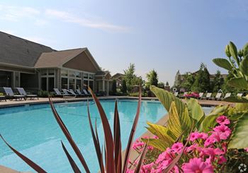 A swimming pool with pink flowers in front of a house