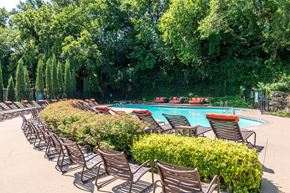 Mission apartment for rent - A pool surrounded by trees and chairs.