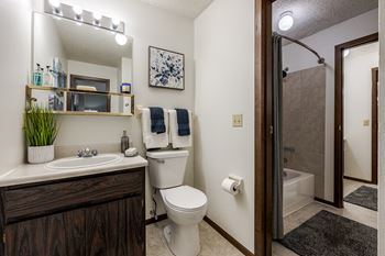 Vanity in bathrooms
