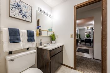 Vanity in bathrooms
