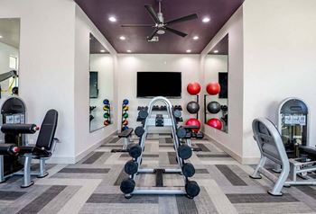 Fully equipped fitness center