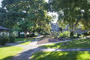 Kennewick apartment for rent - a walkway through a neighborhood with trees and houses