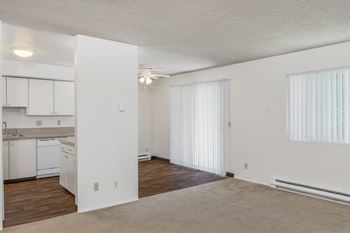 Ceiling fan