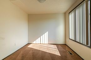 Albany apartment for rent - A room with a carpeted floor and a window with blinds.