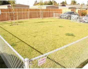 Dog park