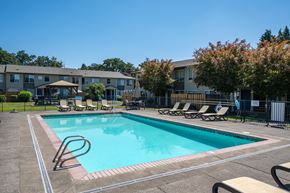 Gladstone apartment for rent - A swimming pool surrounded by lounge chairs and trees.