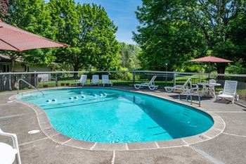 Solar heated pool