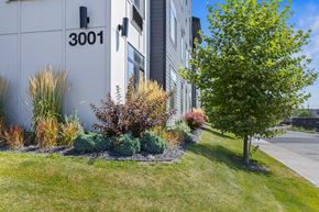 Spokane apartment for rent - A tree is next to a building with the number 3001 on it.