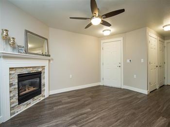 Gas fireplace*