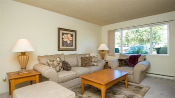 Oversized windows in townhouse floorplan