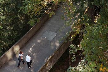 Direct access to marquam nature park and running/bike trails