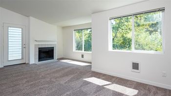Wood burning fireplace