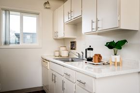 Portland apartment for rent - A kitchen with white cabinets and a white countertop with a sink and a plant on it.