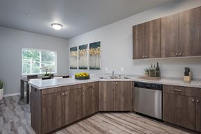 Vancouver apartment for rent - A kitchen with wooden cabinets and a stainless steel dishwasher.