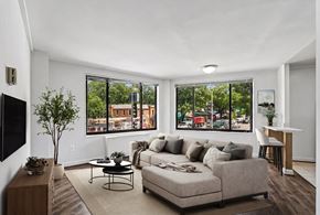 Washington apartment for rent - A living room with a couch, a coffee table, a television, and a plant.