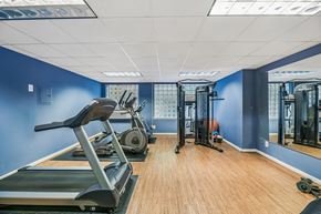 Washington apartment for rent - A gym with treadmills, weights, and mirrors.