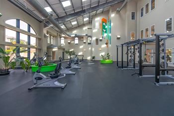 Access to state-of-the-art fitness centers