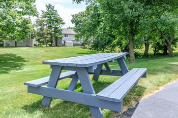 Picnic area with barbecue
