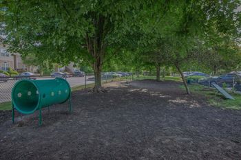 Bark park