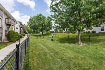 Leash free dog parks