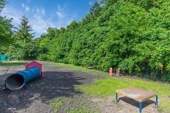 Bark park