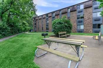 Picnic area with barbecue