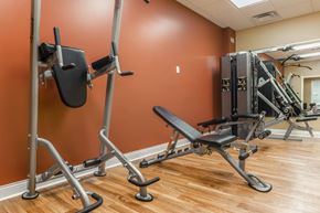 Bloomington apartment for rent - A gym with a row of weight benches and a row of weight racks.