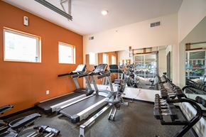 Bloomington apartment for rent - A gym with treadmills, elliptical machines, and other exercise equipment.