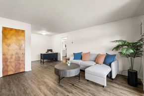 East Lansing apartment for rent - A living room with a grey couch, a coffee table, and a plant.