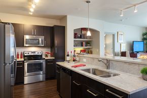 Houston apartment for rent - A modern kitchen with black cabinets and stainless steel appliances.