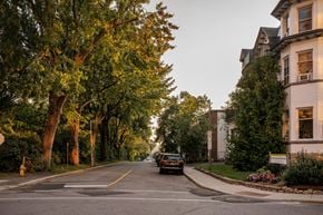Ottawa apartment for rent - A car is driving down a tree-lined street.