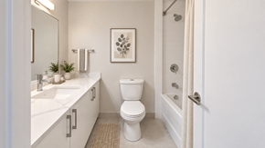 Ottawa apartment for rent - A white bathroom with a toilet, sink, and a framed picture on the wall.