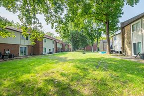 Norfolk apartment for rent - our apartments offer a spacious yard for residents to enjoy
