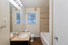 Pikesville apartment for rent - a bathroom with a sink and a toilet and a bath tub