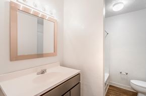 Madison apartment for rent - A bathroom with a sink, mirror, and toilet.