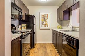 Seattle apartment for rent - a kitchen with stainless steel appliances and a black refrigerator