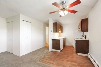 Ceiling fan