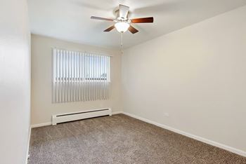 Ceiling fan