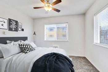 Ceiling fan