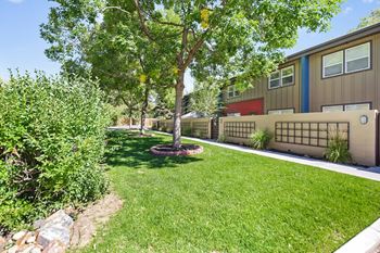 Lush landscaping