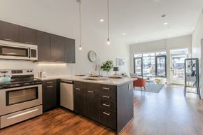 Louisville apartment for rent - Living room and kitchen with wood flooringat Delo Apartments, Louisville, Colorado